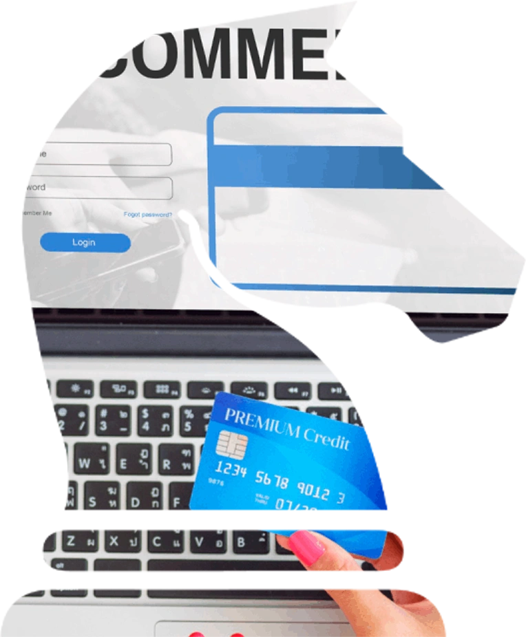 ECommerce Optimization surrey-1